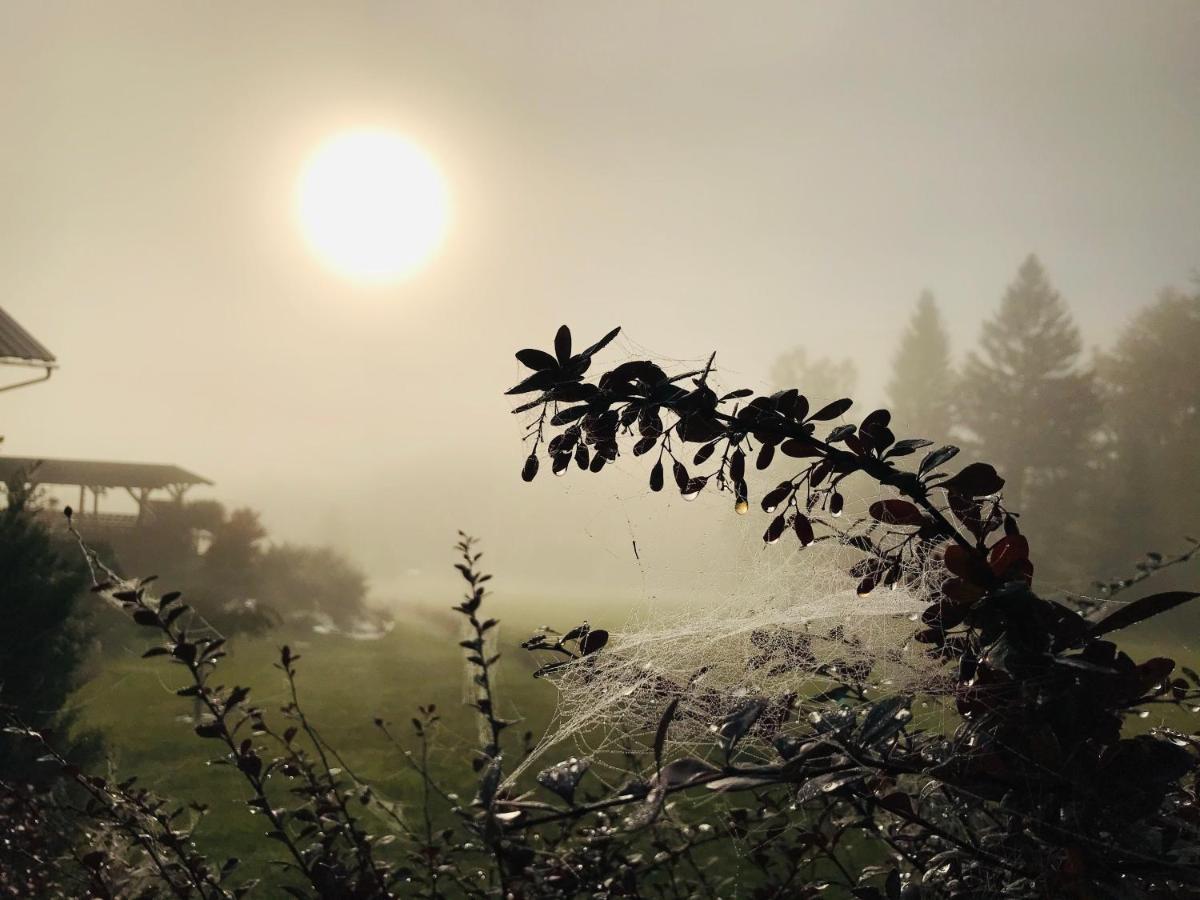 Na Planyrce Hotell Paseky nad Jizerou Exteriör bild
