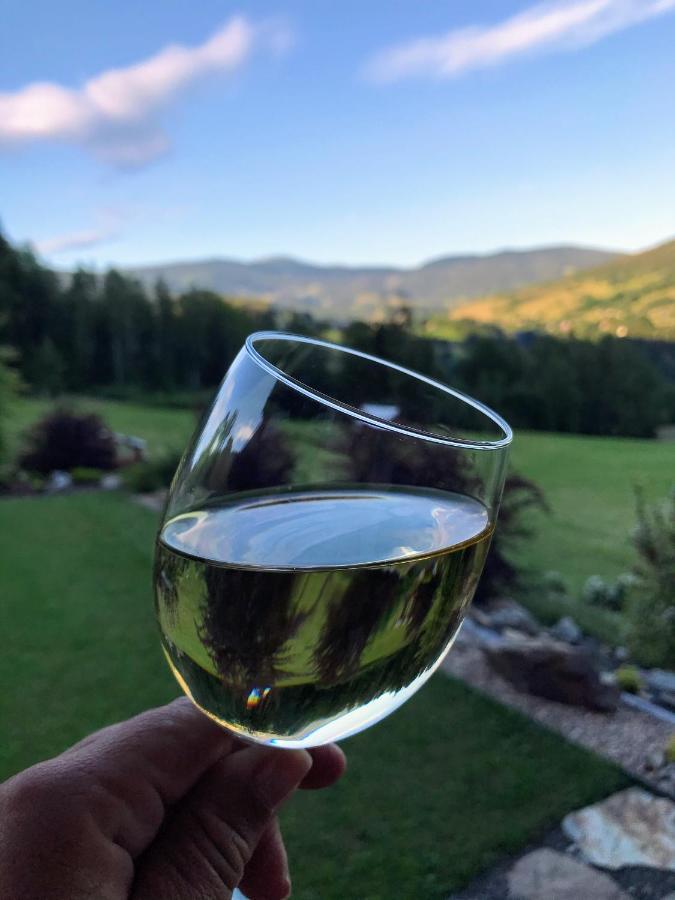 Na Planyrce Hotell Paseky nad Jizerou Exteriör bild